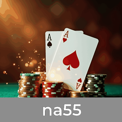Acessar o site na55 COM